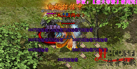 迷失传奇.png