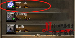传奇私服游戏中的高级技能