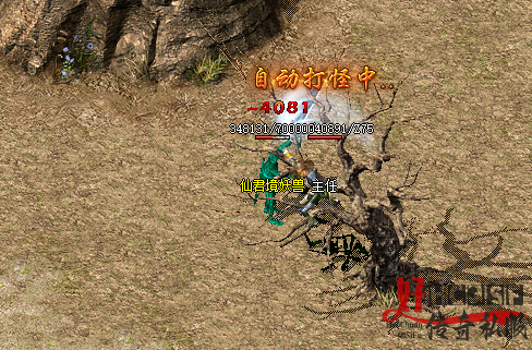 新开传奇