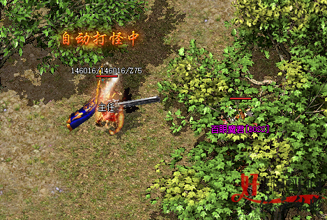 新开传奇
