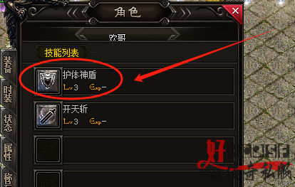 护体神盾技能
