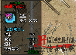 白银马宠物