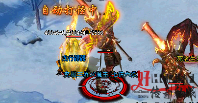 新开传奇sf中的法师