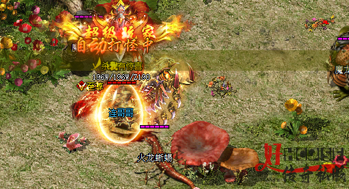 传奇SF游戏点评大曝光：开场策略与独家共享