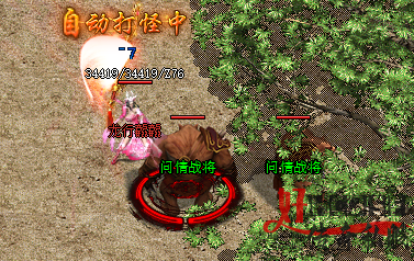 新开传奇