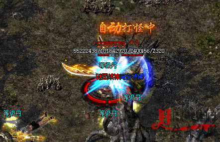 新开传奇