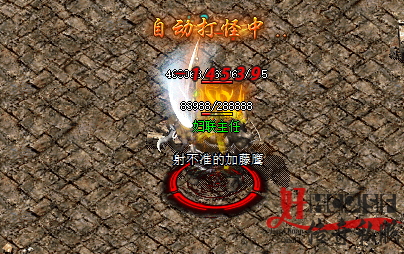 新开传奇