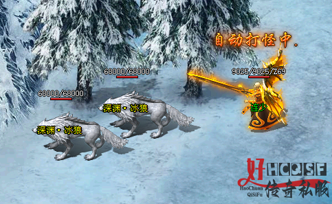 新开传奇