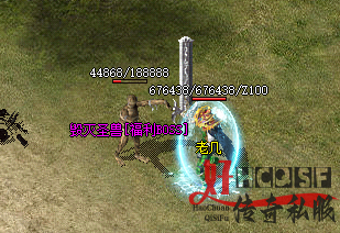 新开传奇